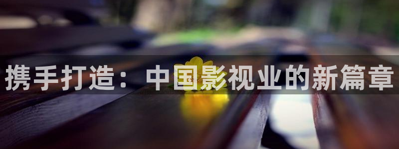 新理論電影：攜手打造：中國影視業的新篇章