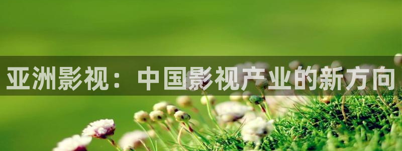 理論電影大全免費：亞洲影視：中國影視產業的新方向