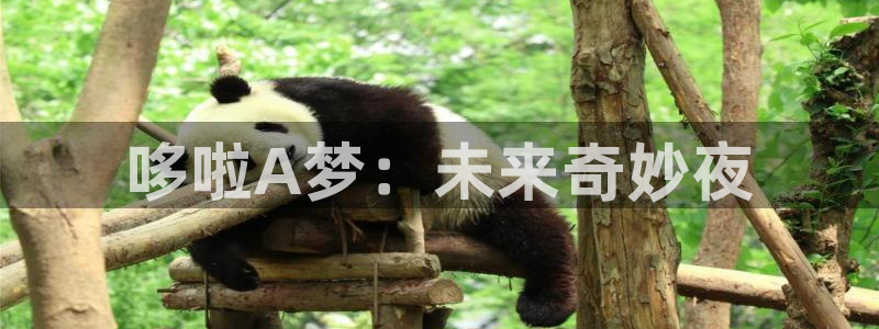 四虎影院理論：哆啦A夢：未來奇妙夜