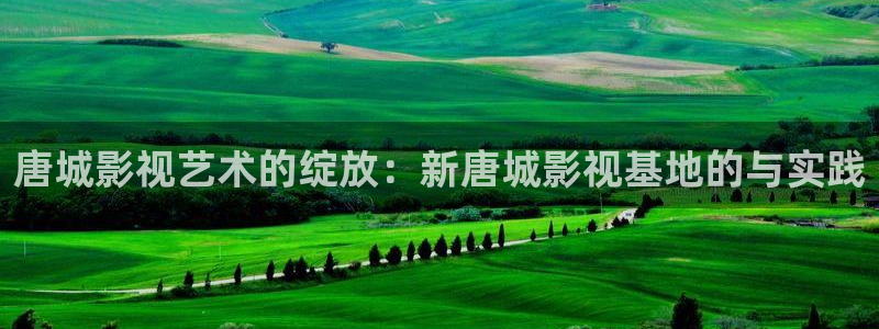 6080理論電影在線：唐城影視藝術的綻放：新唐城影視基地的與實踐