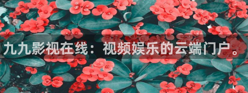 511影院韓國理論片：九九影視在線：視頻娛樂的云端門戶。