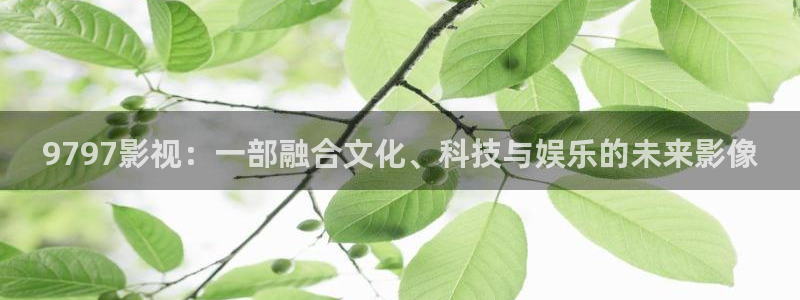 萬物理論電影完整版：9797影視：一部融合文化、科技與娛樂的未來影像